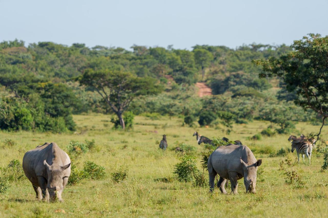 Elephants Crossing Welgevonden Game Reserve Exterior photo